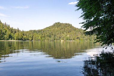 Sakin bir göl, etrafındaki yemyeşil ağaçları ve berrak mavi gökyüzünün altındaki uzak bir dağı yansıtır. Barışçıl atmosfer rahatlamayı ve doğayı takdir etmeyi davet ediyor..