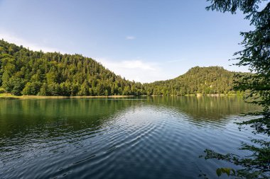 Sakin bir gölün berrak suları mavi gökyüzünün altındaki ağaçların ve tepelerin canlı renklerini yansıtarak doğa meraklıları ve doğa severler için mükemmel bir doğal kaçış sağlar..