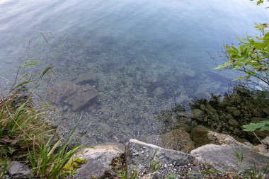 Yumuşak dalgalar kayalık bir kıyı şeridine çarpar ve berrak su aşağıdaki çakıl taşlarını ortaya çıkarır. Yeşillik ve yemyeşil bir çerçeve. Huzurlu sahne, doğanın sakin güzelliğini gözler önüne seriyor..