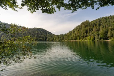 Barışçıl bir göl yoğun yeşil ağaçlar ve tepelerle çevrelenmiş parlak bir gökyüzü altında sakin bir atmosfer yaratarak rahatlama ve doğanın takdir edilmesi için ideal bir ortam yaratıyor..