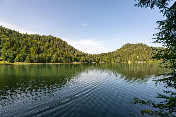 Sakin bir gölün berrak suları mavi gökyüzünün altındaki ağaçların ve tepelerin canlı renklerini yansıtarak doğa meraklıları ve doğa severler için mükemmel bir doğal kaçış sağlar..