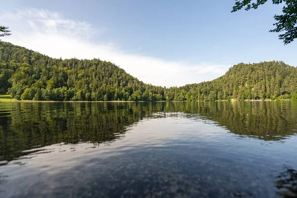 Kristal berrak su, çevreleyen tepelerin canlı yeşil ağaçlarını yansıtır. Sahne güneşli bir öğleden sonra açık havada huzurlu bir anı yakalıyor..