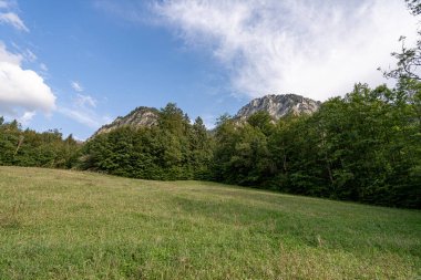 Bereketli yeşil bir çayır, yüksek dağların eteklerindeki keşifleri davet eder. Dağınık bulutlu parlak mavi gökyüzü, canlı ağaçlarla çevrili yaz atmosferini güçlendirir..