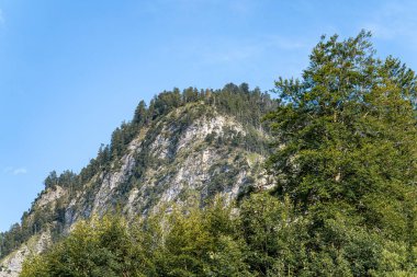Parlak mavi gökyüzünün altında canlı yeşil ağaçlarla çevrili uzun kayalık dağ zirvesi huzurlu bir doğal manzara yakalar. Sahne, dışarıdaki keşiflerin sükunetini yansıtıyor..