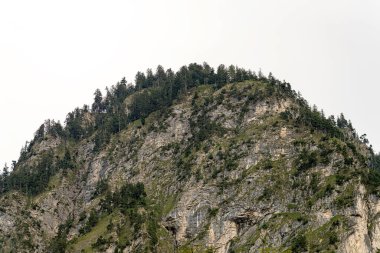 Çarpıcı bir dağ zirvesi, tepesinde yoğun ağaçlarla süslenirken engebeli uçurumlar bulutlu gökyüzünün altındaki bölgenin doğal güzelliğini gözler önüne seriyor..