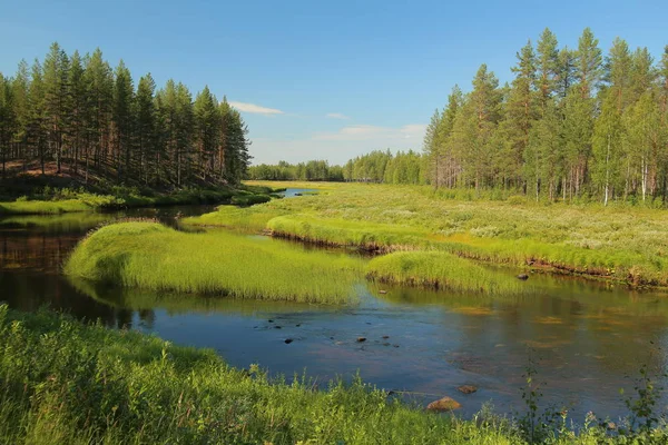 Svansele Dammaenger スウェーデンの旧水草原でストリーム — ストック写真