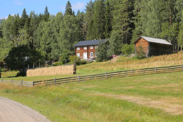 Norrbotten 文化保护区 Gallejaur 的农场建筑和草地 — 图库照片