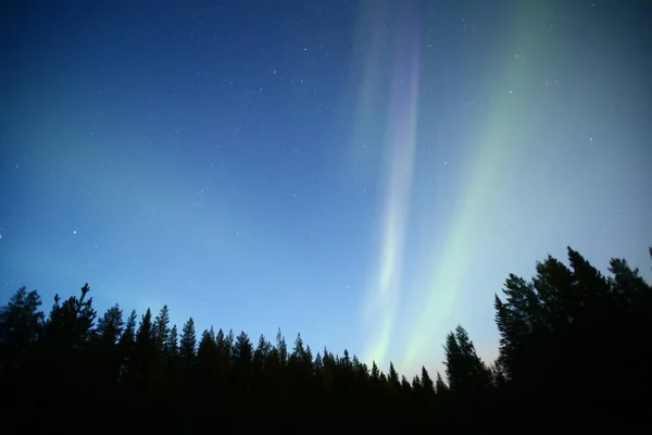 Aurora Boreal Está Sobre Floresta Norte Suécia — Fotografia de Stock