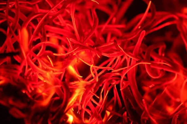 Kavramsal bir değil unsual şeklinde parlayan tahta atel kadeh.