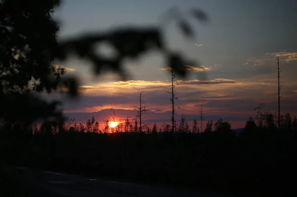 Colorido atardecer con ramas negras borrosas en primer plano — Foto de Stock