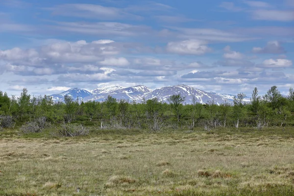 Mire på Njakajaure i Lappland, norra Sverige — Stockfoto