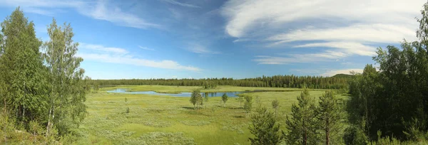 北スウェーデンの小川ペティカンと周辺の湿地 — ストック写真