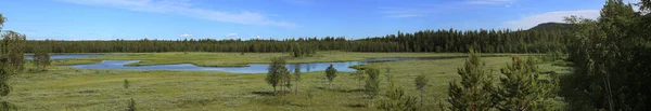Der Bach Petikan und die umliegenden Feuchtgebiete in Nordschweden — Stockfoto