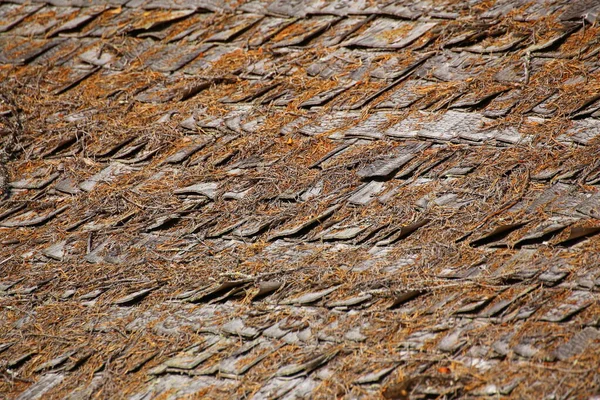 Traditionella träbältros på ett tak av liten hydda — Stockfoto