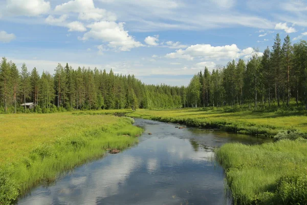 Bella vista sul torrente Petikan nella riserva culturale Rortrask Silanger in Lapponia — Foto Stock
