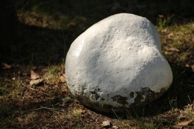 Beyaza boyanmış bir taşın kavramsal çekimi