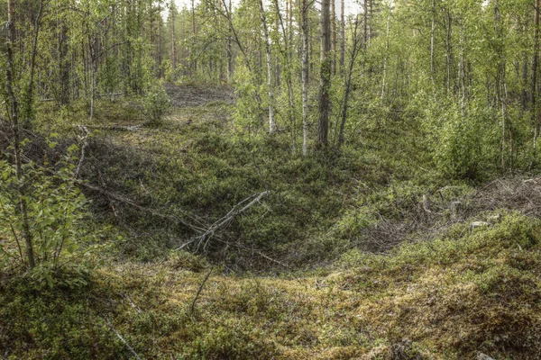 Remains of an ancient trapping pit near at the stream Skelleftalven in Vasterbotten, Sweden — Stock Photo, Image