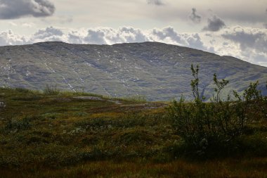 Blasjofjalls 'daki dağ manzarası İsveç' teki Wilderness Yolu yakınlarındaki doğa koruma alanı.