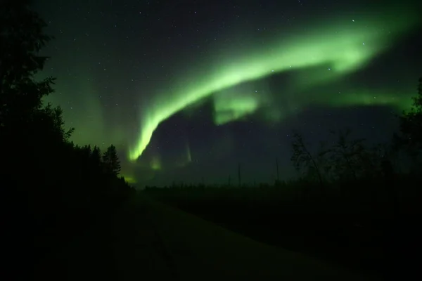Északi fények az erdőn és az úton az éjszakában — Stock Fotó