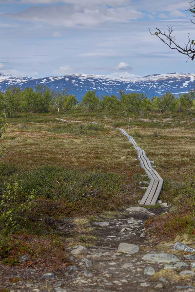 Mire près du lac Njakajaure dans le nord de la Suède — Photo