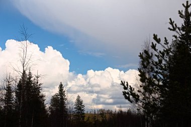 İsveç, Vasterbotten 'de yağmur bulutları.