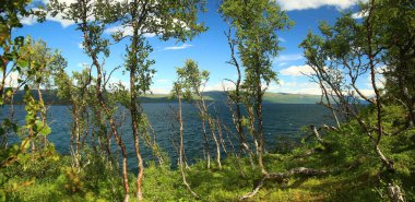 Tornehamn 'daki bir koruluktan Tornetrask Gölü' ne bak.