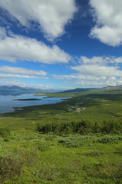 Vegetação Exuberante Redor Cidade Sueca Abisko Verão — Fotografia de Stock