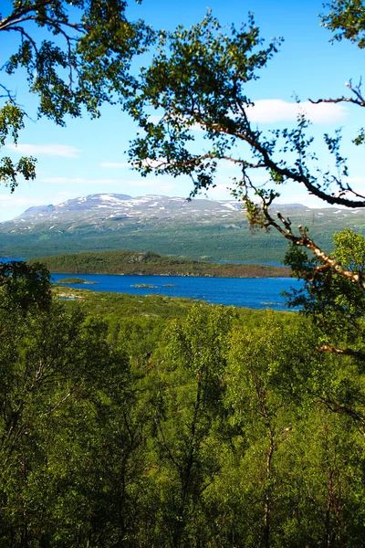 Tornetrask Gölü 'nün manzarası Laponya' da Tornehamn yakınlarındaki bir tepeden.