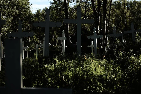 Cruces Tornehamns Kyrkogard Cementerio Naval Norte Suecia —  Fotos de Stock