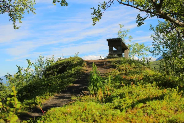 ラップランドのトルネハムン近くの小さな丘の上の日陰のベンチ — ストック写真