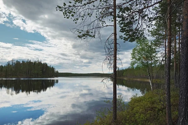 Utsikt Över Sjön Petttraesket Västerbotten — Stockfoto