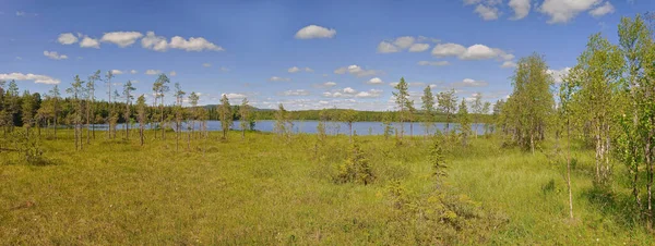 Mires Intorno Lago Alktrasket Vasterbotten Svezia — Foto Stock