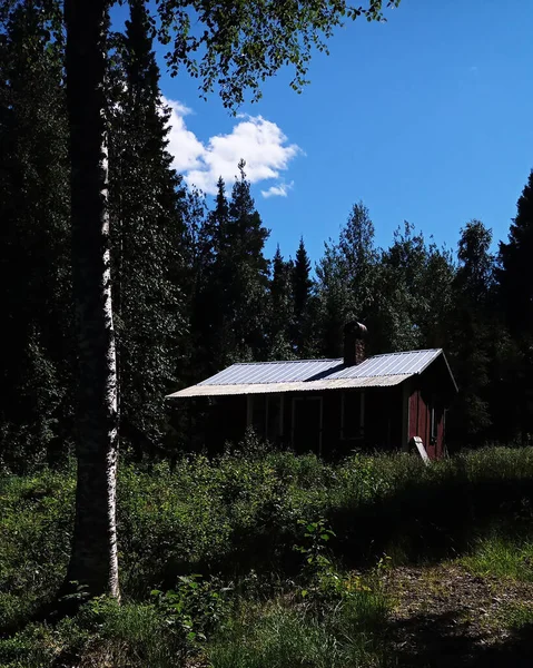 バックライトのスウェーデンの森の小屋 — ストック写真