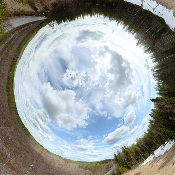 Rabbit hole panorama of forest and clearing in Vasterbotten, Sweden.