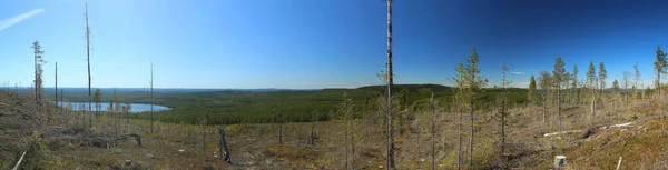 Blick Vom Bredtraskliden Nördlichen Vasterbotten Schweden — Stockfoto