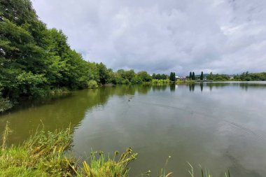Orman kıyı şeridi Almanya 'nın geniş sakin kırsal kesiminde bulutlu gökyüzünü yansıtan göl.
