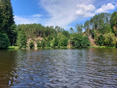 Dalgalanan yüzeyi ve Bavyera 'da yazlık gökyüzünün altında uzak kıyılardaki orman kayalıkları ile geniş Schwarzer Nehri..