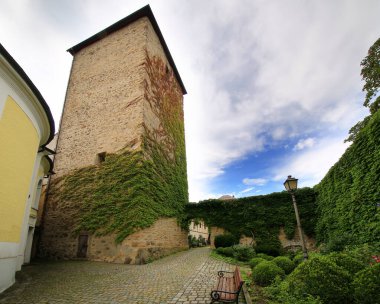 Ivy, Fursteneck Şatosu, Bavyera 'daki kaldırım taşı banklarıyla ve kapalı bahçesiyle taş kuleyi kaplamıştı..