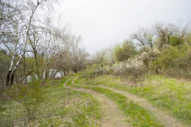 Baharın başlarında, doğa.