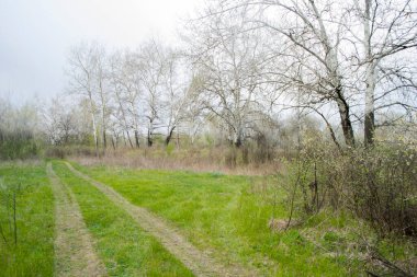 Baharın başlarında, doğa.