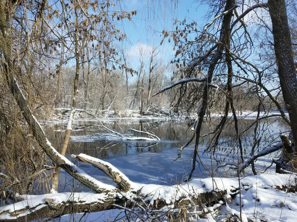 Beautiful winter landscape. — Stock Photo, Image