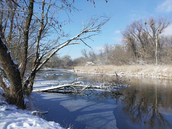 Beautiful winter landscape. — Stock Photo, Image