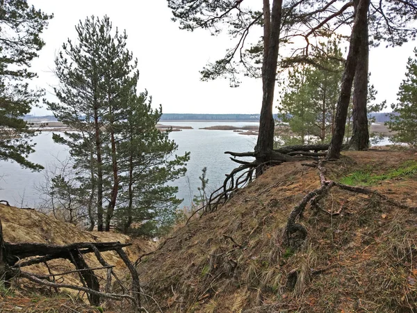 Bodenerosion am See. — Stockfoto