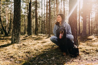 Genç bir kadın, Rus Spaniel köpeğiyle birlikte akşam güneşinin altında ormanda yürüyor.. 