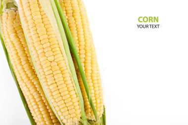 Beyaz arka plan üzerinde izole taze sarı Mısır koçanı. Taze sebze.