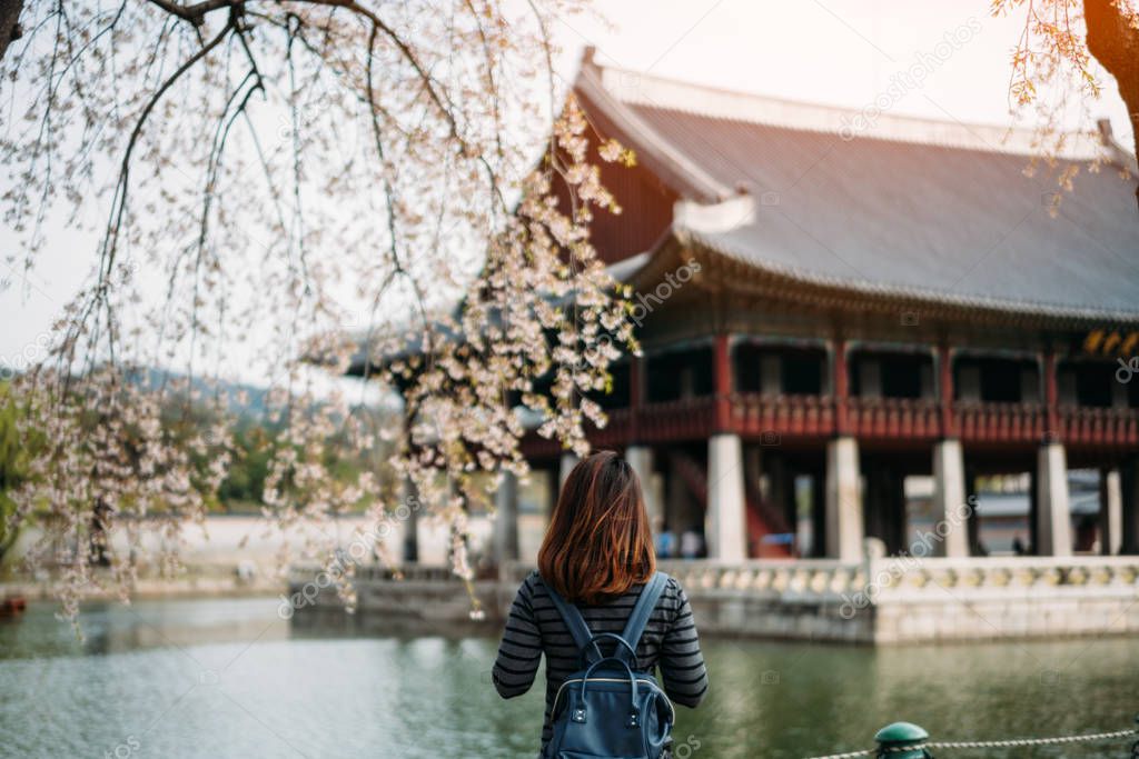 Young asian woman traveler with backpack traveling into the Gyeongbokgung Palace  with cherry blossom or sakura in background at Seoul city, South Korea.