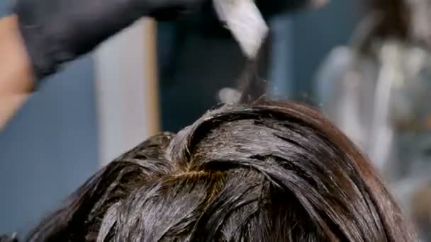 Penata rambut wanita mewarnai rambut di salon kecantikan — Stok Video