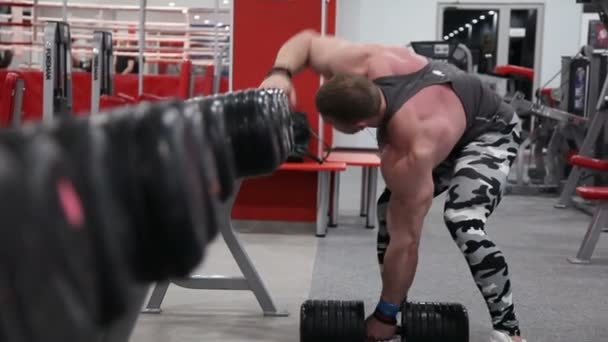 Masculino fisiculturista levantando pesados halteres no ginásio . — Vídeo de Stock