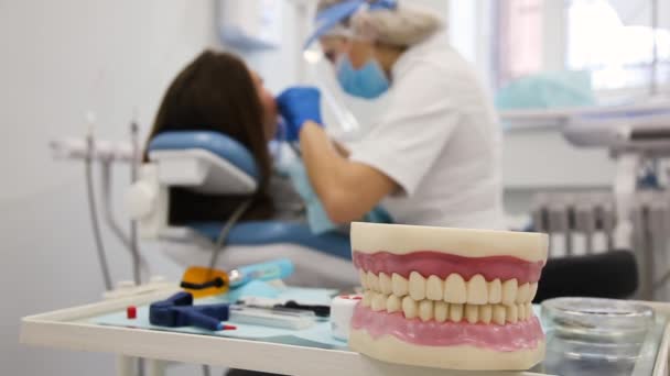 Human chaw model on front view and dentist with patient blurred on back view. — Stock Video