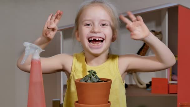 Adorável menina colocar a planta suculenta em vaso maior . — Vídeo de Stock